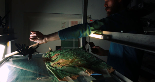 Art of the Multiplane